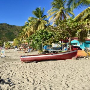 Colorful small fishing boats on sandy beach in Martinique with palm trees and mountains in backdrop