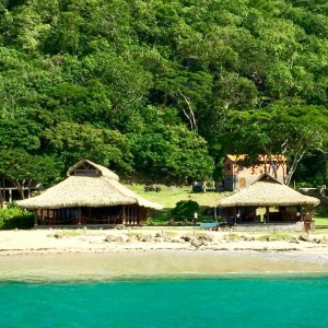 Deserted beach in the Grenadines with dense forest in backdrop and straw huts near water