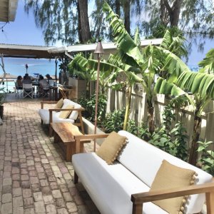 Elegant beach bar in Barbados