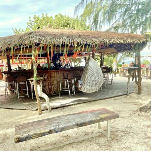 Funky boho beach bar in jungle garden with creative sculptures as exceptional filming location