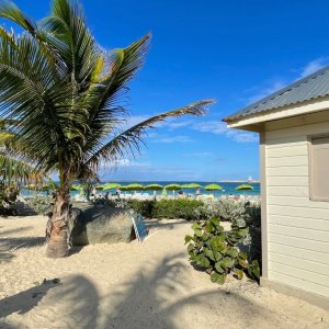 Long beach stretch in St. Martin with coconut tree and green parasols