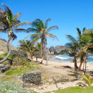 Picturesque monoliths on raw natural beach with pebbles and coconut trees and dark blue surfer sea