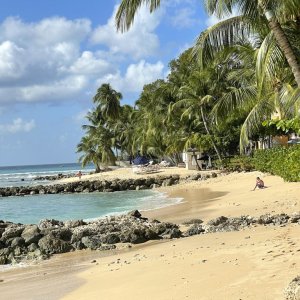 Picturesque tropical Caribbean beach cove with amazing palm trees