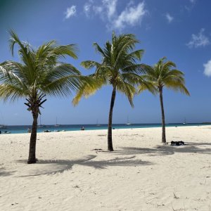 Swimwear fashion shoot location on white sandy beach with palm trees and blue sea Barbados