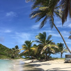 White dream beach in the Grenadines with picture perfect palm trees for swim wear fashion shootings