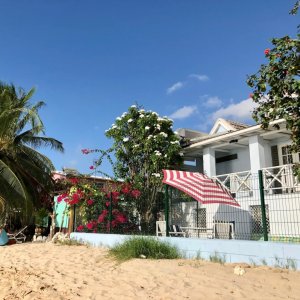 Beach house in white with flower bushes in front of terrace