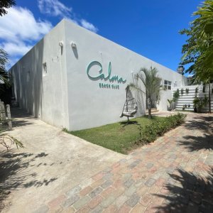 Modern square shaped white beach club bar and restaurant entrance with wooden fence and palm tree