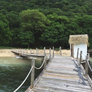 Grenadine Island with exceptional dense vegetation and wooden jetty on deserted beach