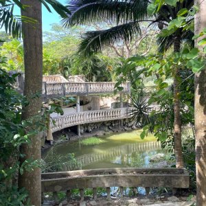 Brigdes in white barock style crossing a pond in natural tropical parc