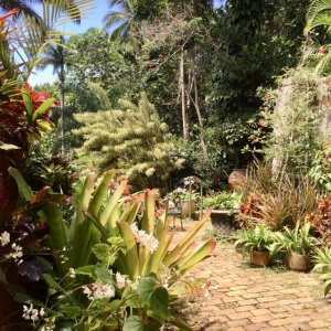 Magnificent rich multi colored plants and flowers in garden with cobblestone path