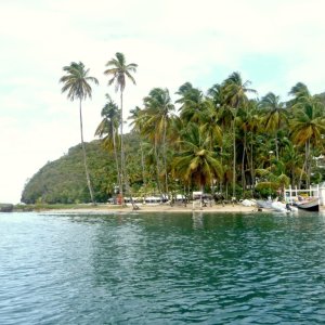 Palm island in front of massive mountain with fishing boats