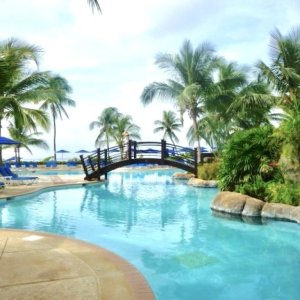 Barbados hotel pool with small bended bridge and natural vegetation with coconut trees location on the beach