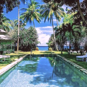 Swimming pool in rectangle shape in gras garden with open view to the ocean and palm trees lining, gazebo in back drop