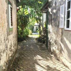 Narrow street with natural stone houses leading to small court with plants