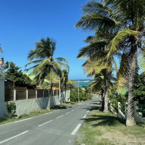 Road leading downhill towards the sea lined with palms and stone houses