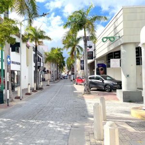 White buildings in narrow elegant shopping road lined with palm trees