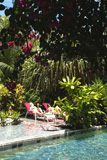 Lush Caribbean Jungle Swimming Pool Location Maruba Resort - Photos: Reinhard Henning